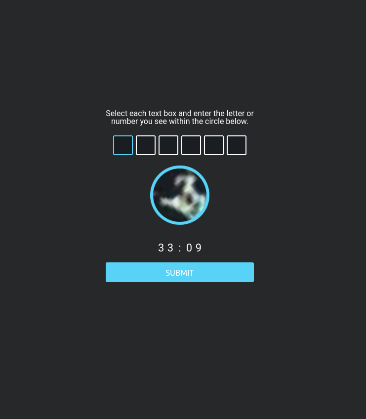 TorZon CAPTCHA Verification